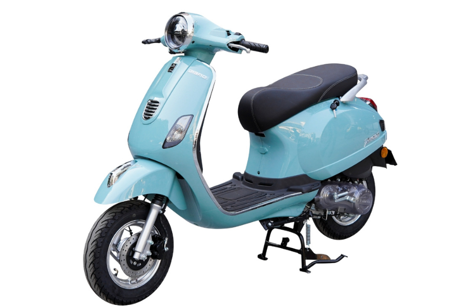 xe Dibao Pansy XS 2022