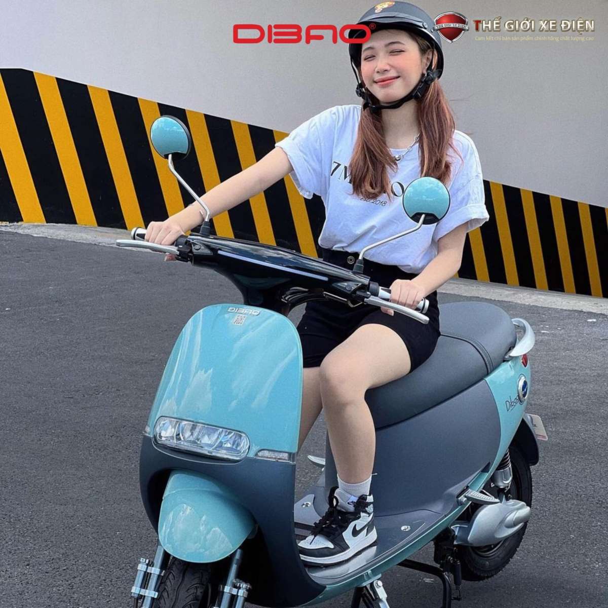 Xe điện nhập khẩu Dibao