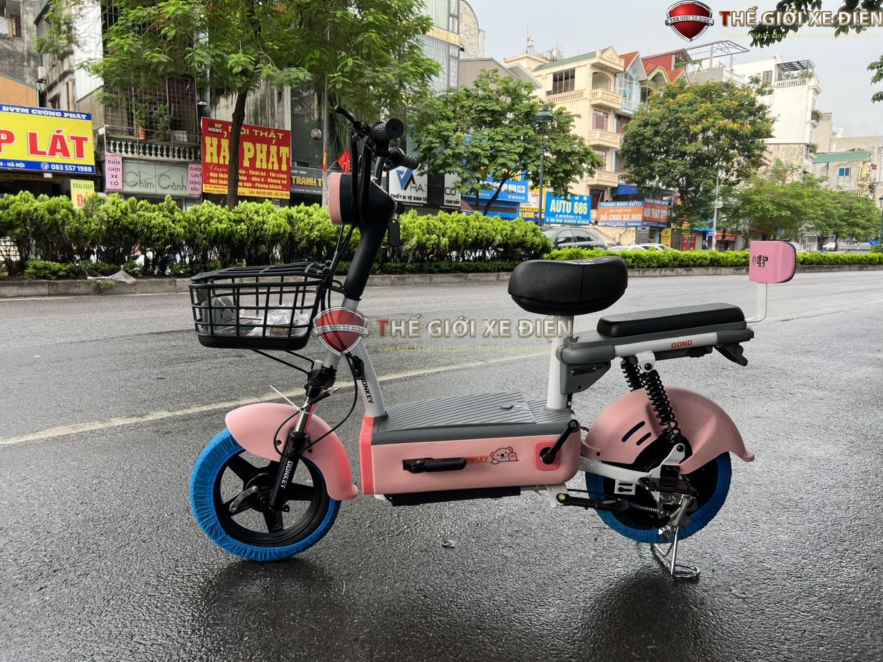 xe đạp điện