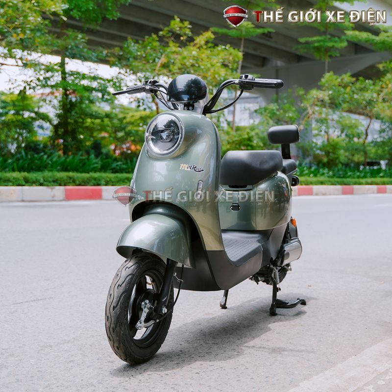 xe đạp điện
