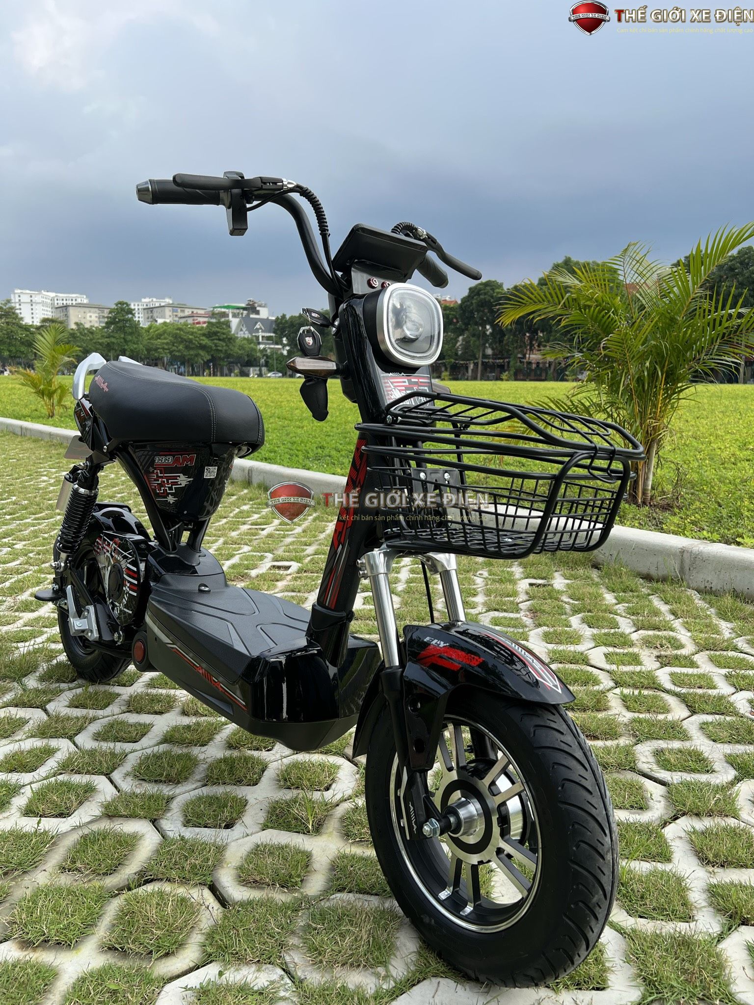 xe đạp điện Aima EGO 133M