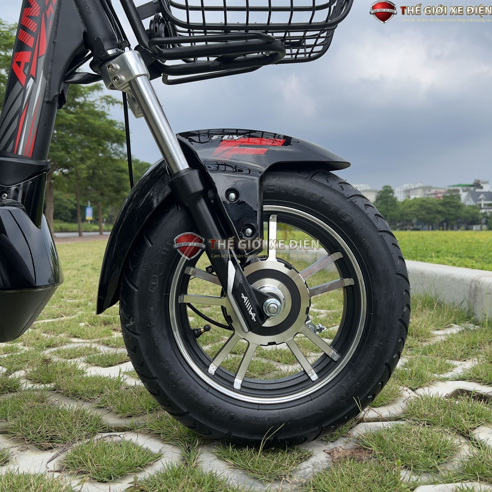 xe đạp điện Aima EGO 133M