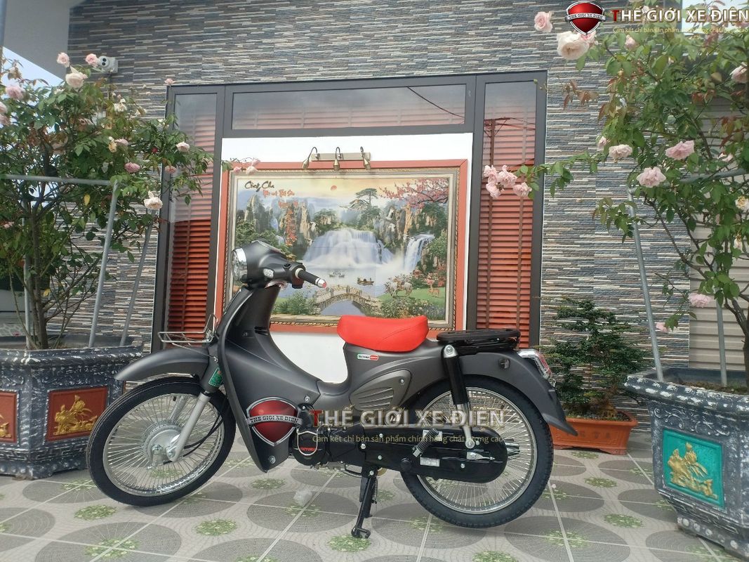 Xe máy 50 phân khối 