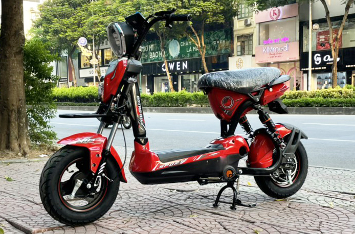Lựa chọn xe đạp điện 133 cho nữ