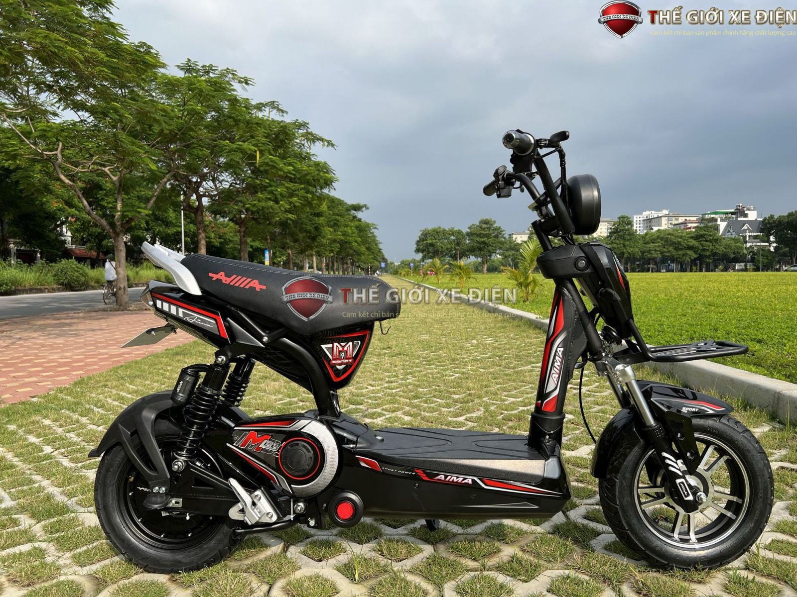 Xe điện 