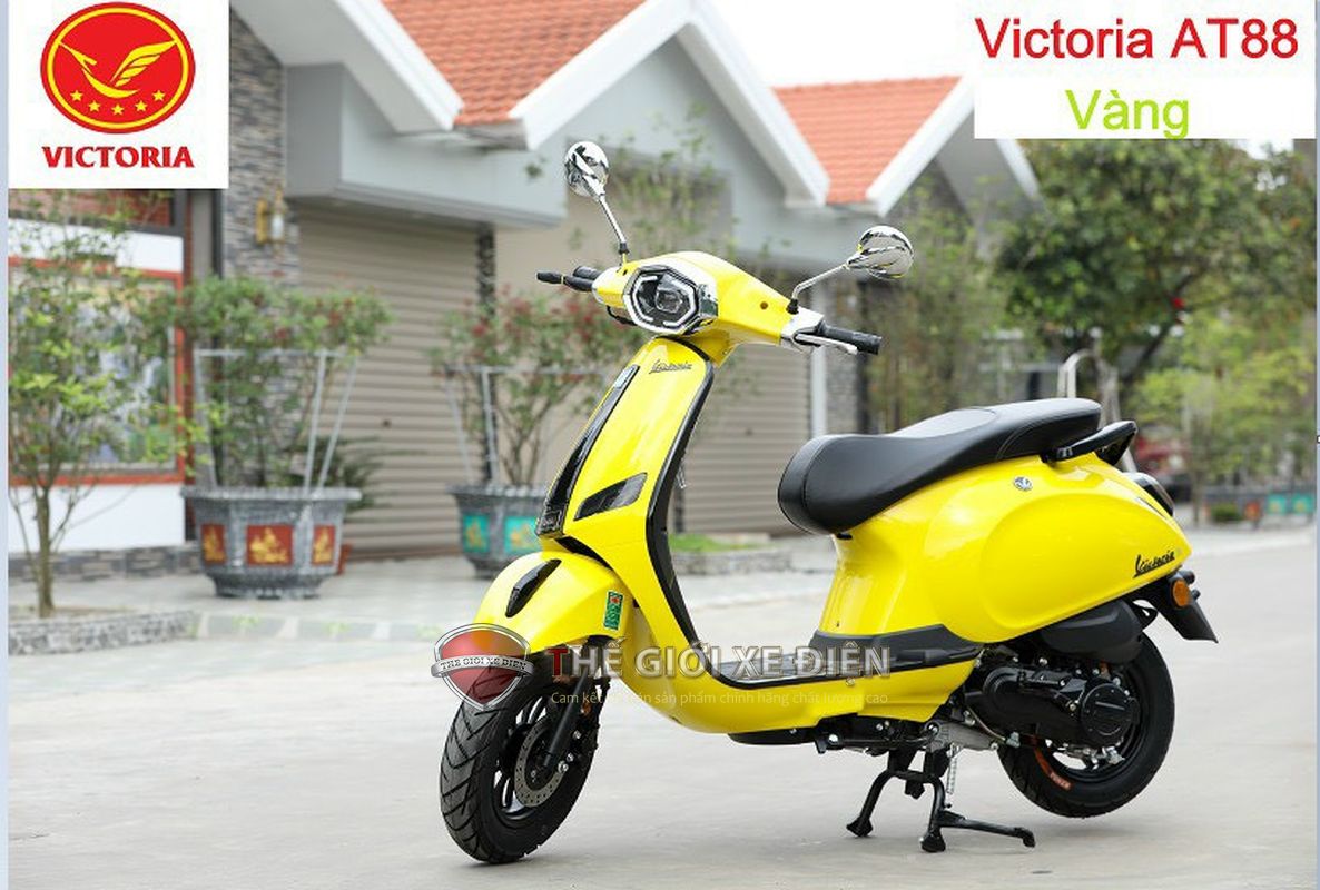 xe 50 phân khối