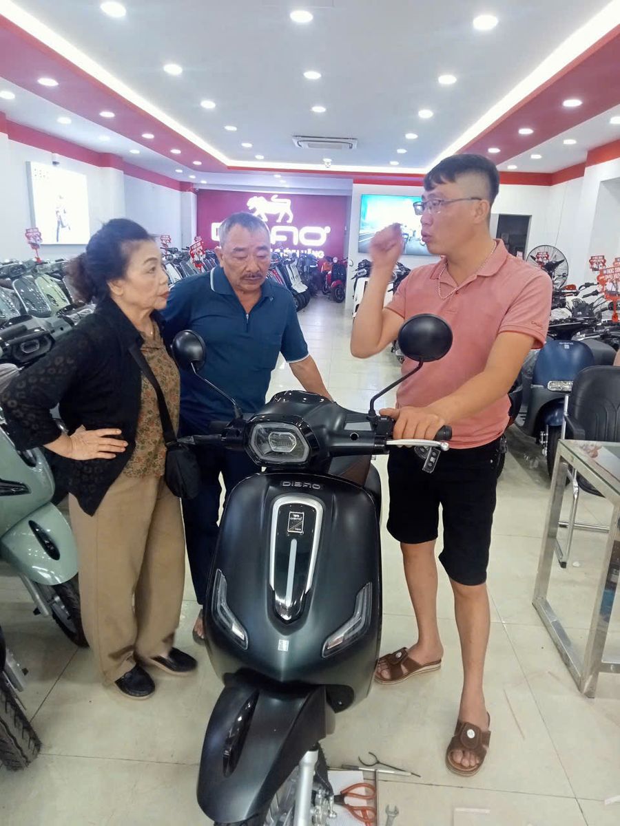 dibao tesla e pin selex 60v30ah