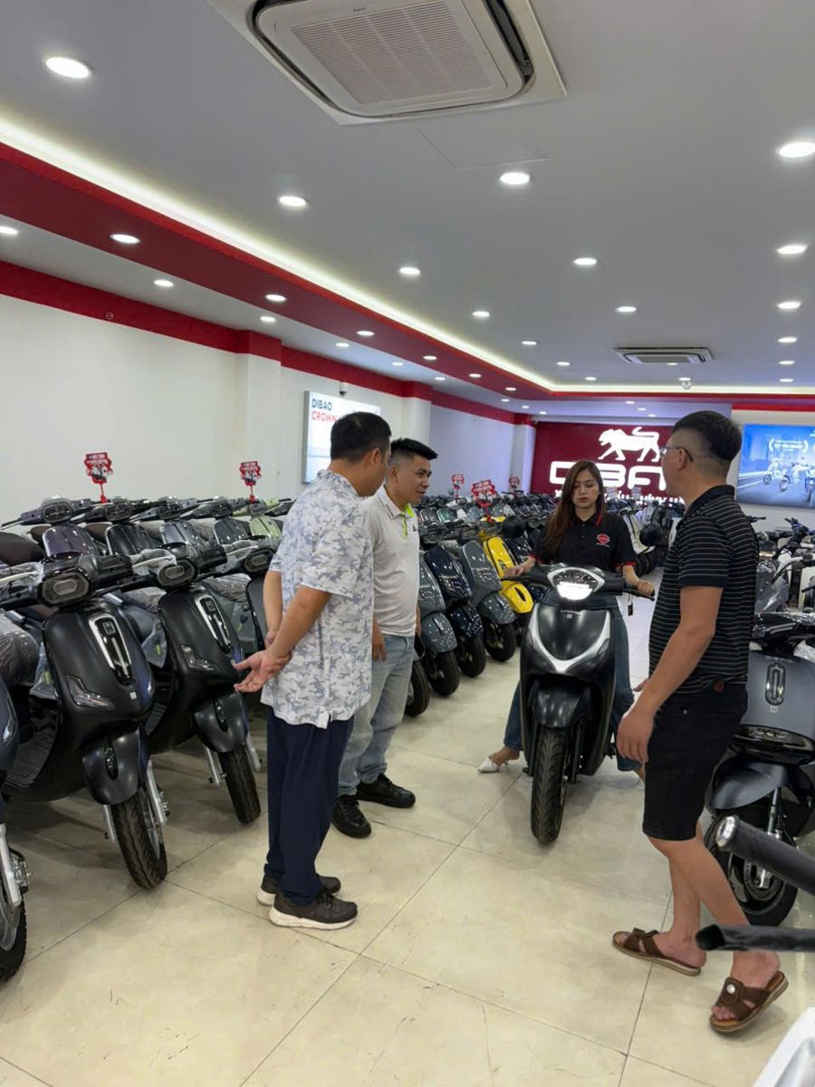 Dibao LS007 màu đen nhám