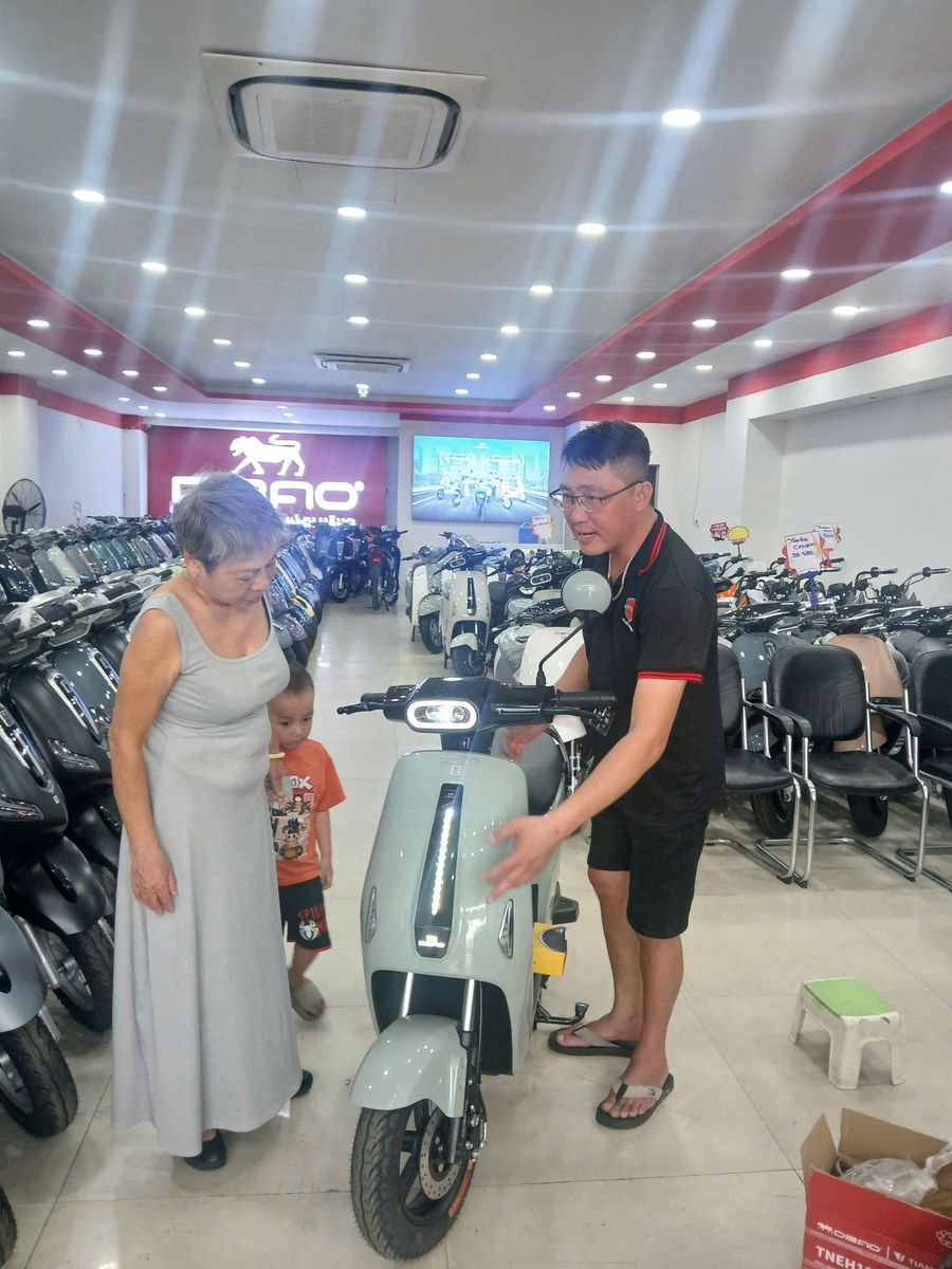 xe đạp điện dibao ryan