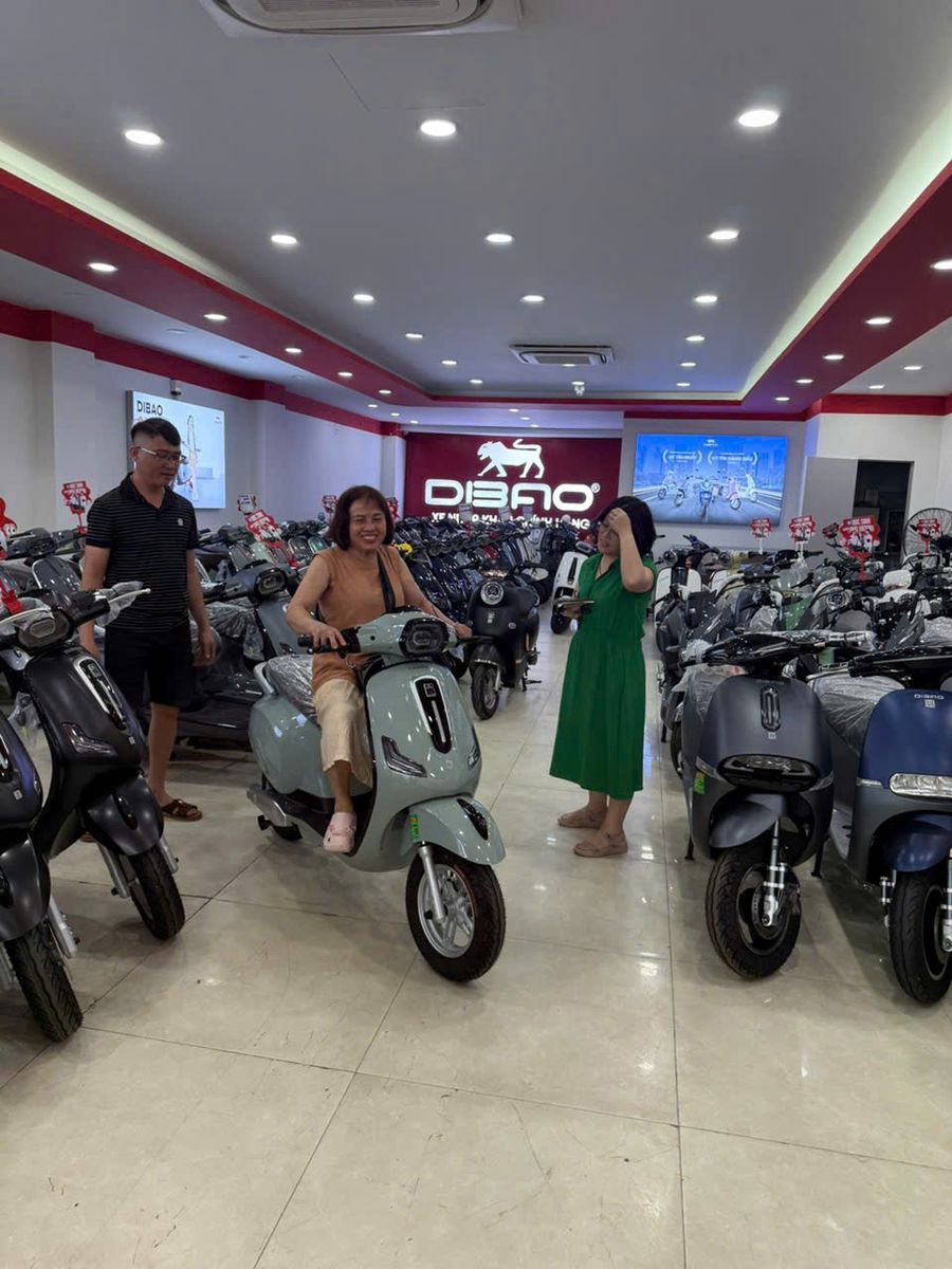 Dibao Tesla E màu xám xi măng