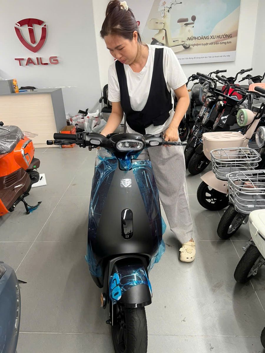 xe đạp điện tailg gr56