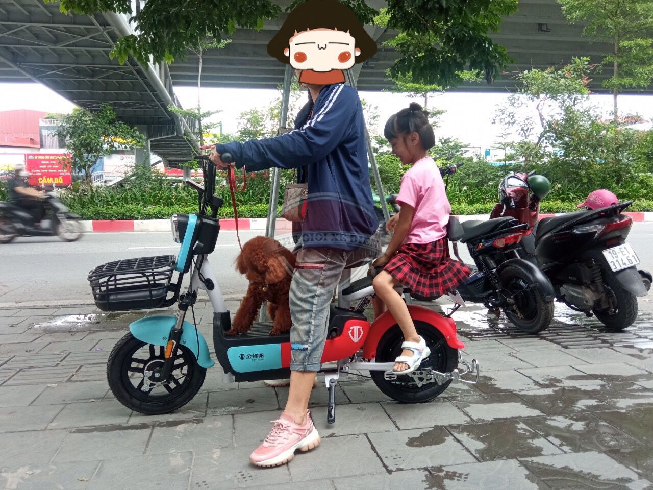 Xe đạp điện