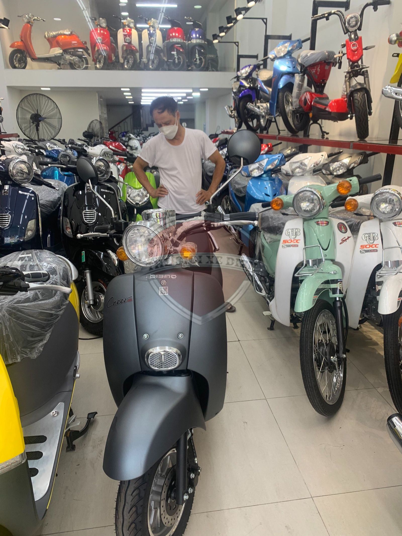 Xe Ga 50cc Dibao Creer 2022