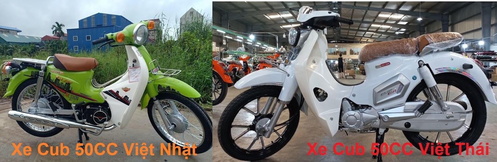 Xe máy 50cc Cub