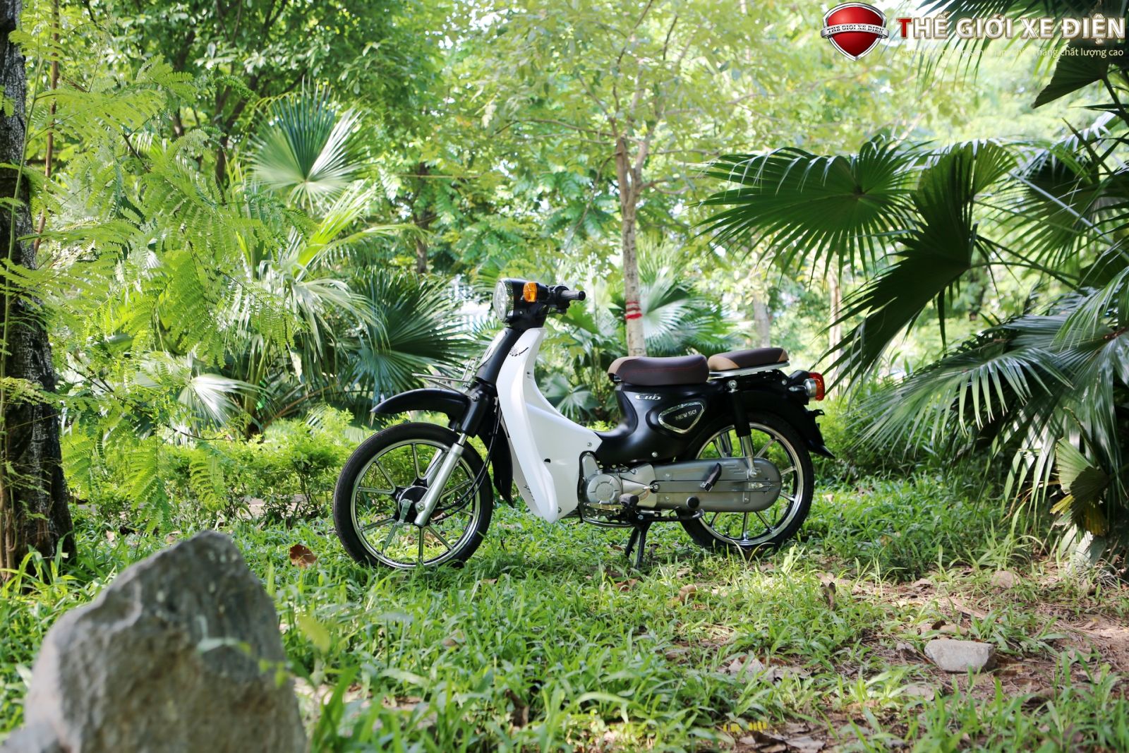 Xe Máy 50cc Cub New Ally Korea