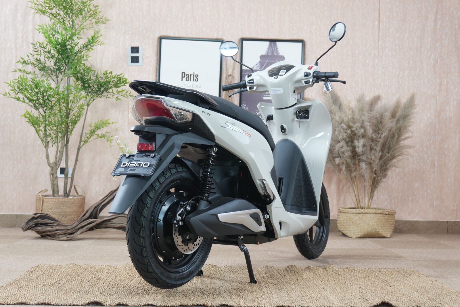 Động Cơ Đã Quá Thuyết Phục, Giờ Là Lúc Chọn Màu Xe Điện Đẹp Nhất Cho Dibao Shine