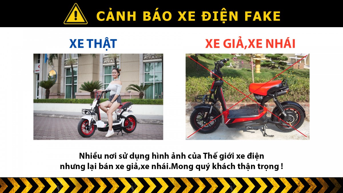 canh-bao-tinh-trang-lay-anh-xe-dien-xe-dap-dien-chinh-hang-de-ban-hang-fake