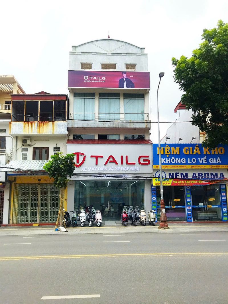chi nhánh thế giới xe điện tailg hải dương