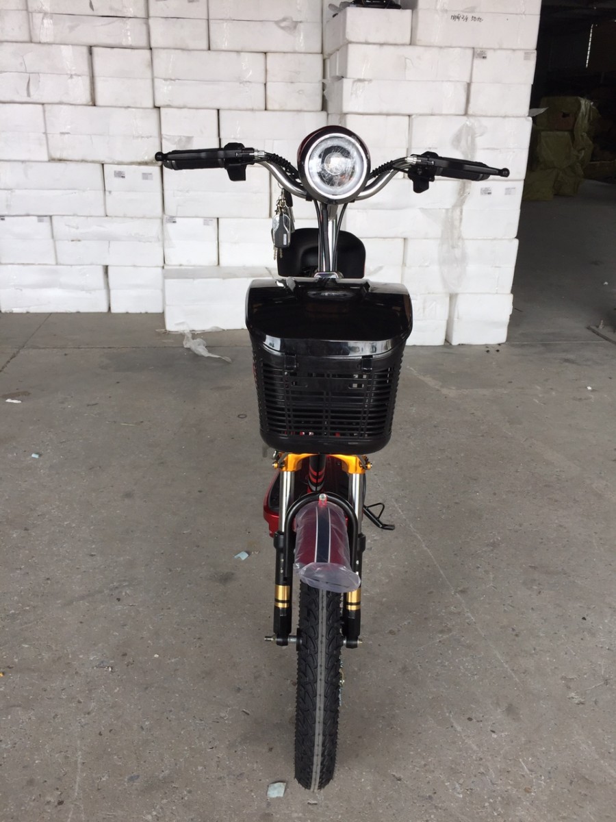 xe đạp điện maxbike