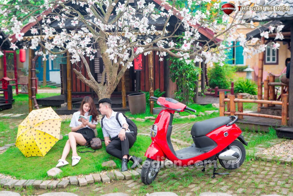 Phạt tiền từ 6.000.000 đồng đến 8.000.000 đồng đối với người điều khiển xe máy điện thực hiện một trong các hành vi vi phạm sau đây.
