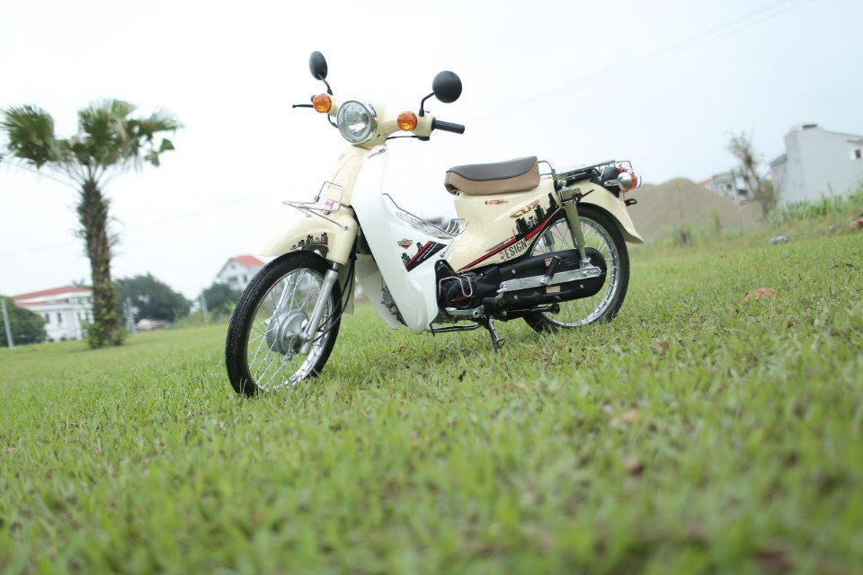 xe Cub 50cc chính hãng