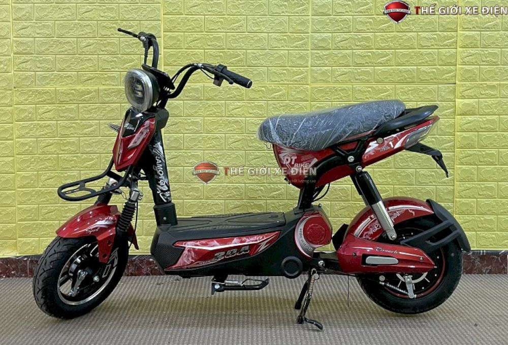 xe đạp điện dt bike