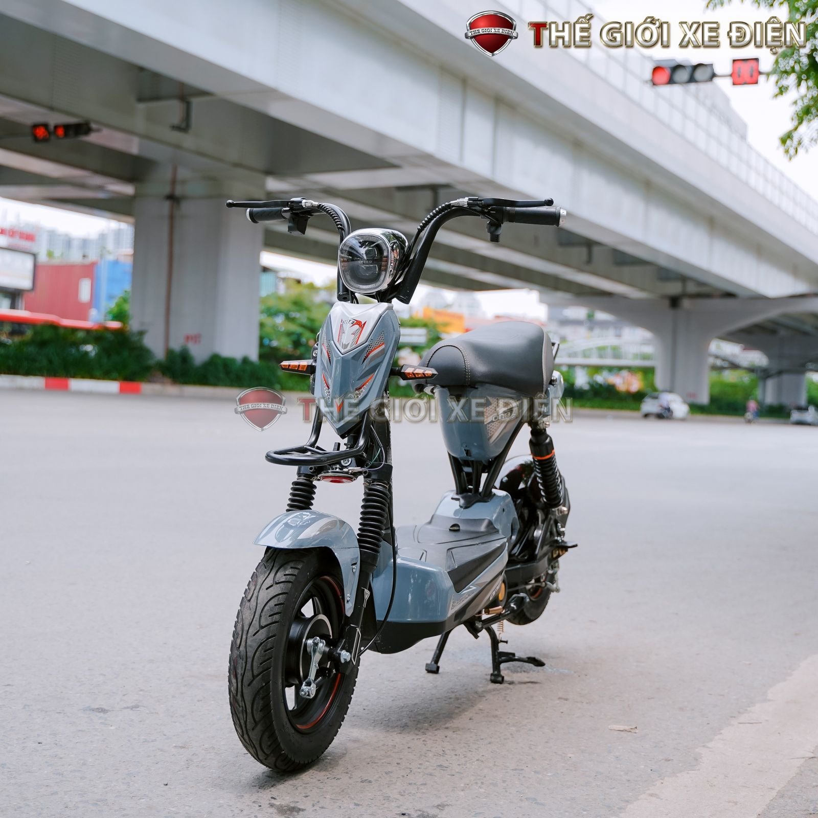 xe đạp điện tera motor