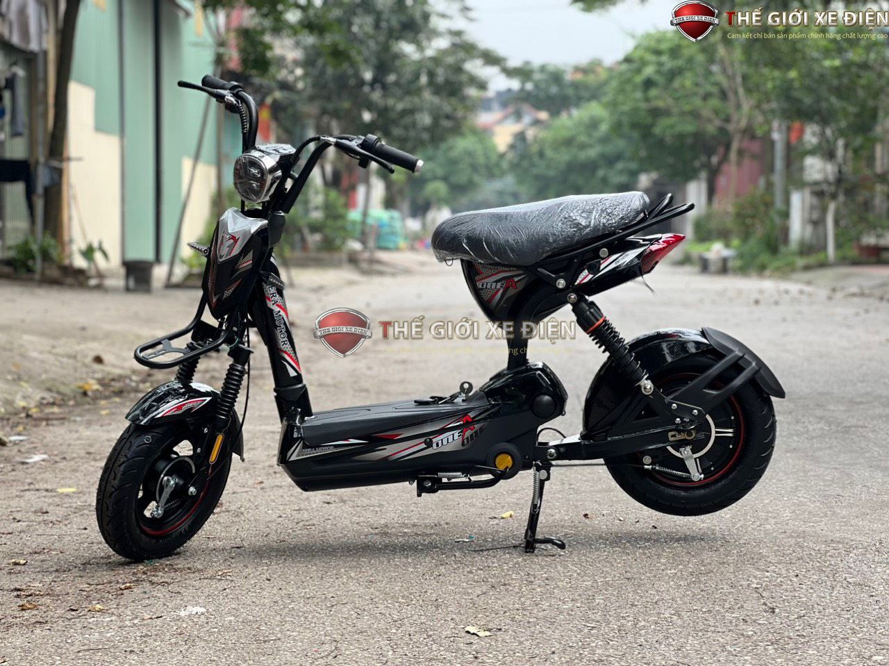 xe đạp điện tera motor