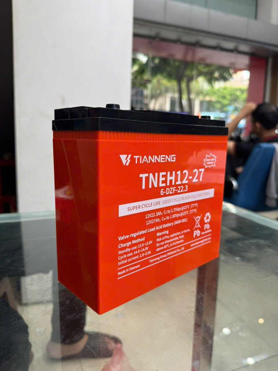 xe điện Tailg X51 giá bao nhiêu