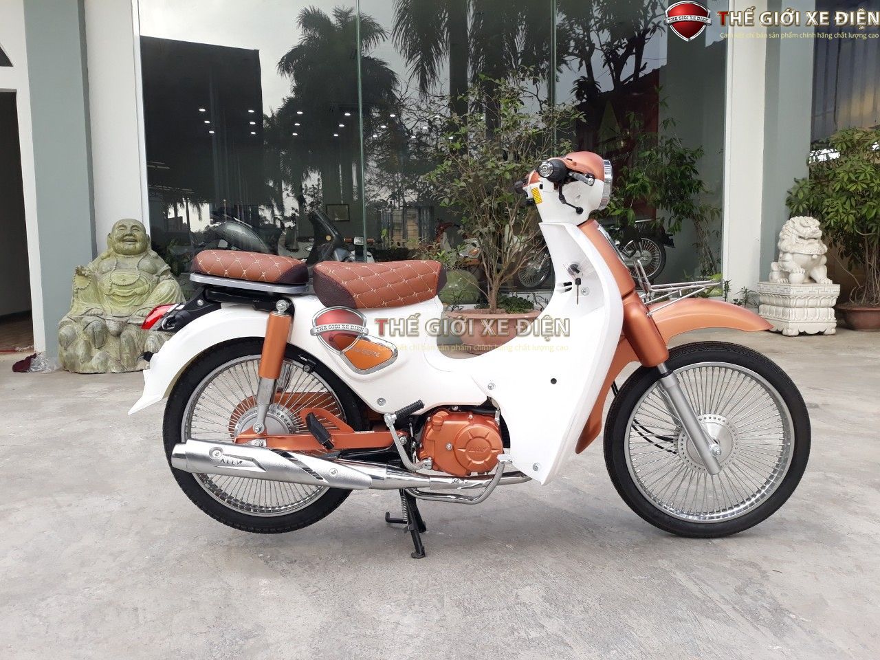 xe số 50cc cub new ally đèn led