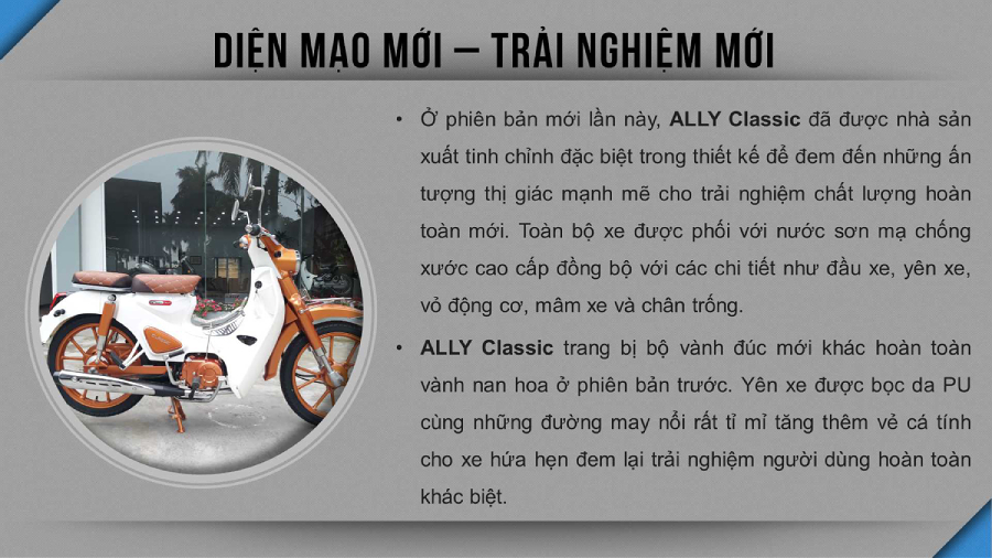 xe 50cc cub ally classic bản độ 2020