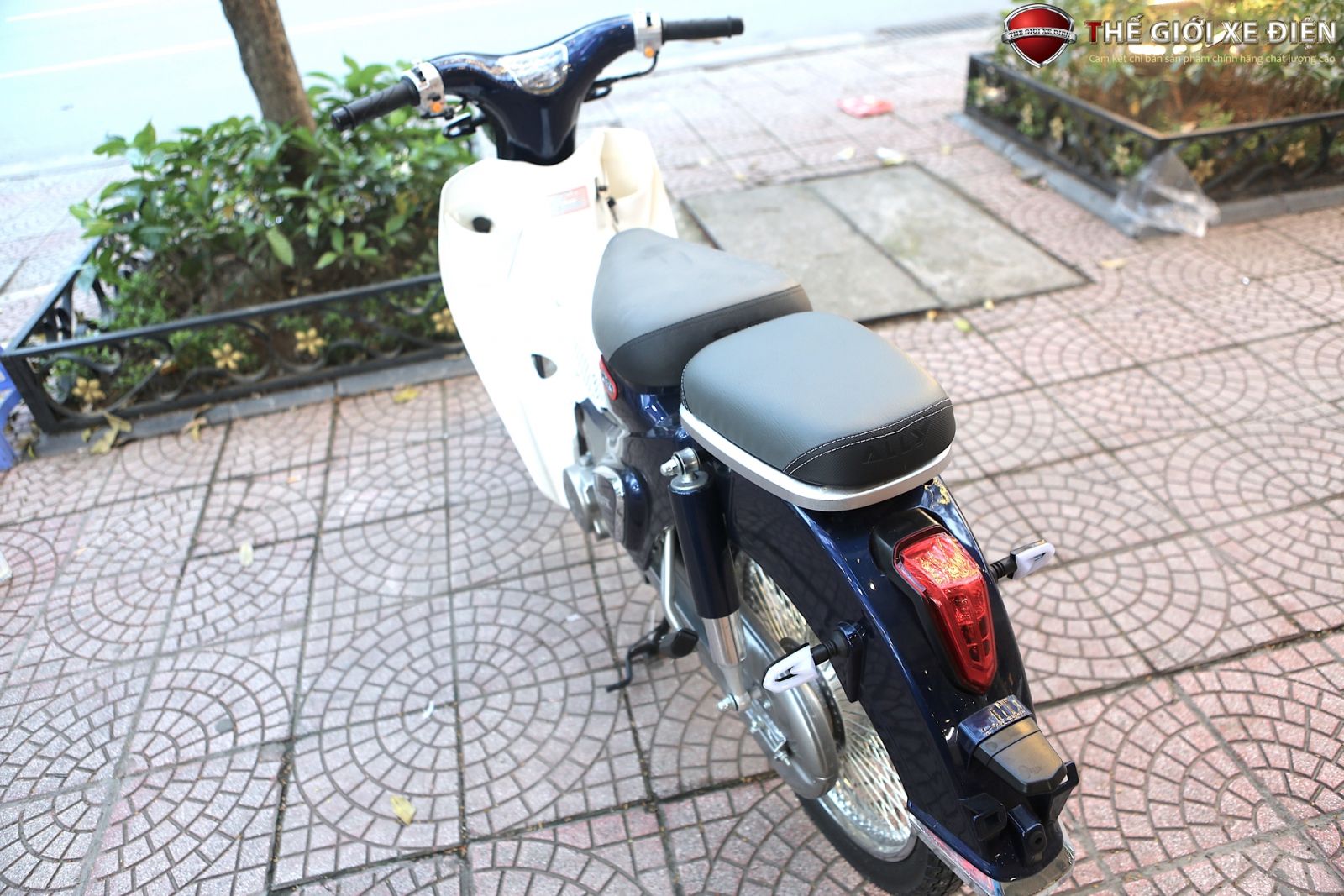 xe cub classic 50cc