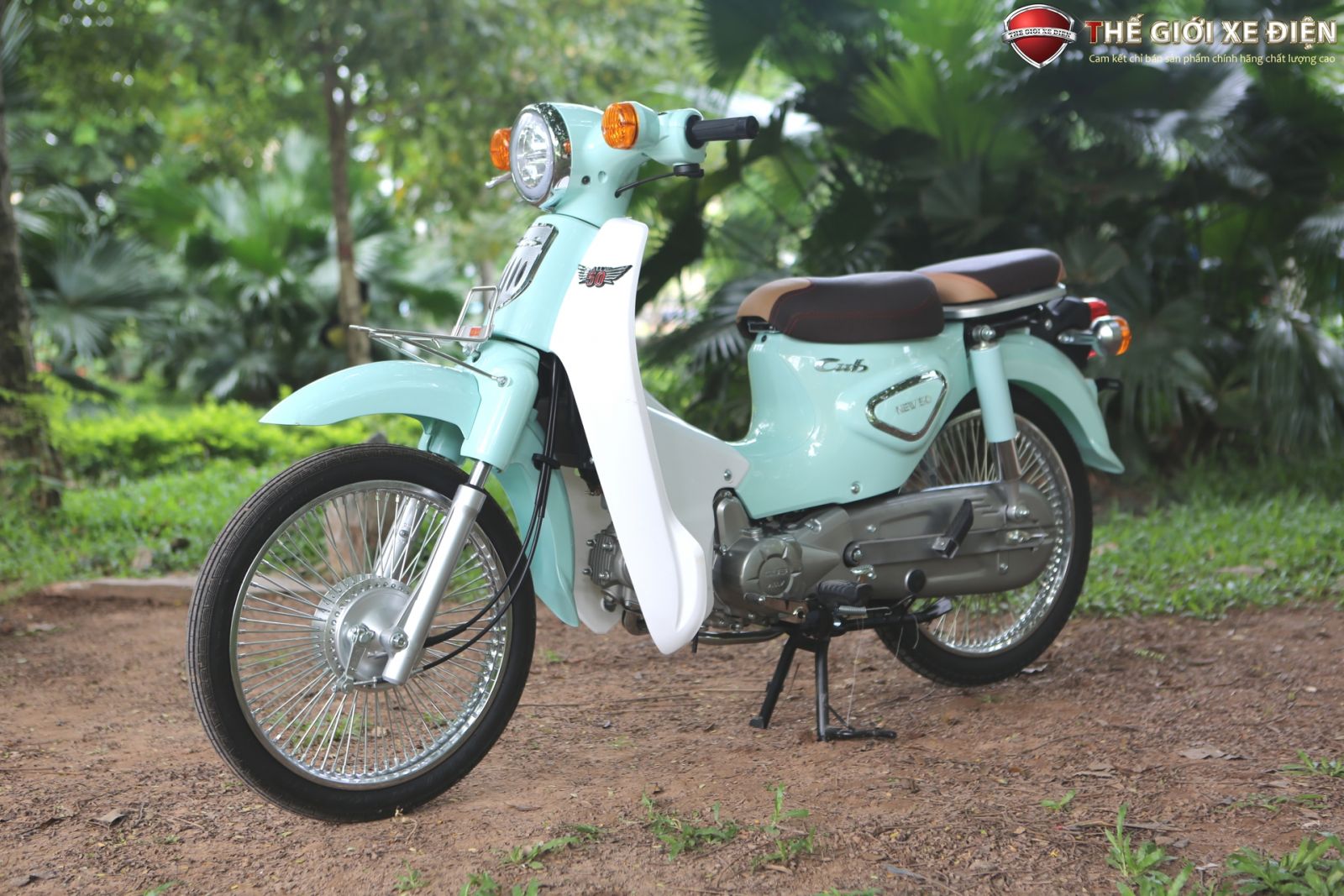 ảnh chi tiết xe số 50cc cub new ally