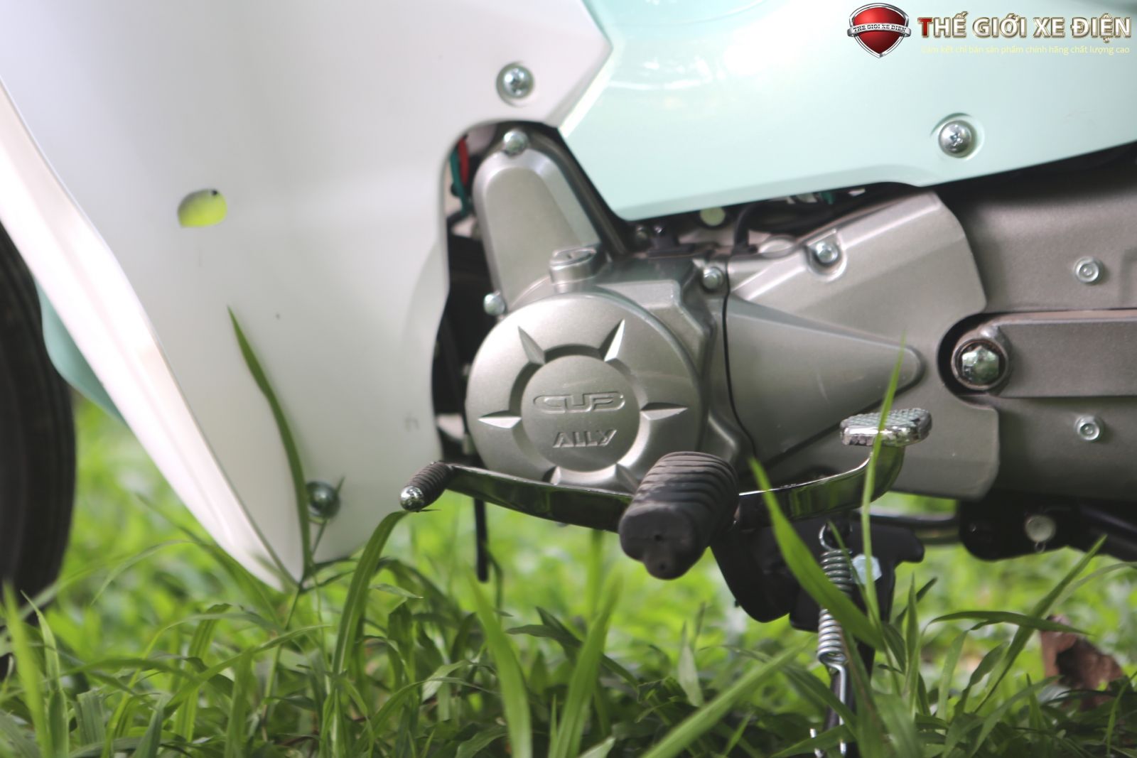 ảnh chi tiết xe số 50cc cub new ally