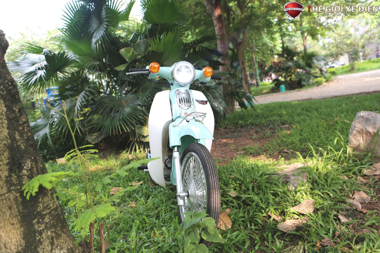 ảnh chi tiết xe số 50cc cub new ally