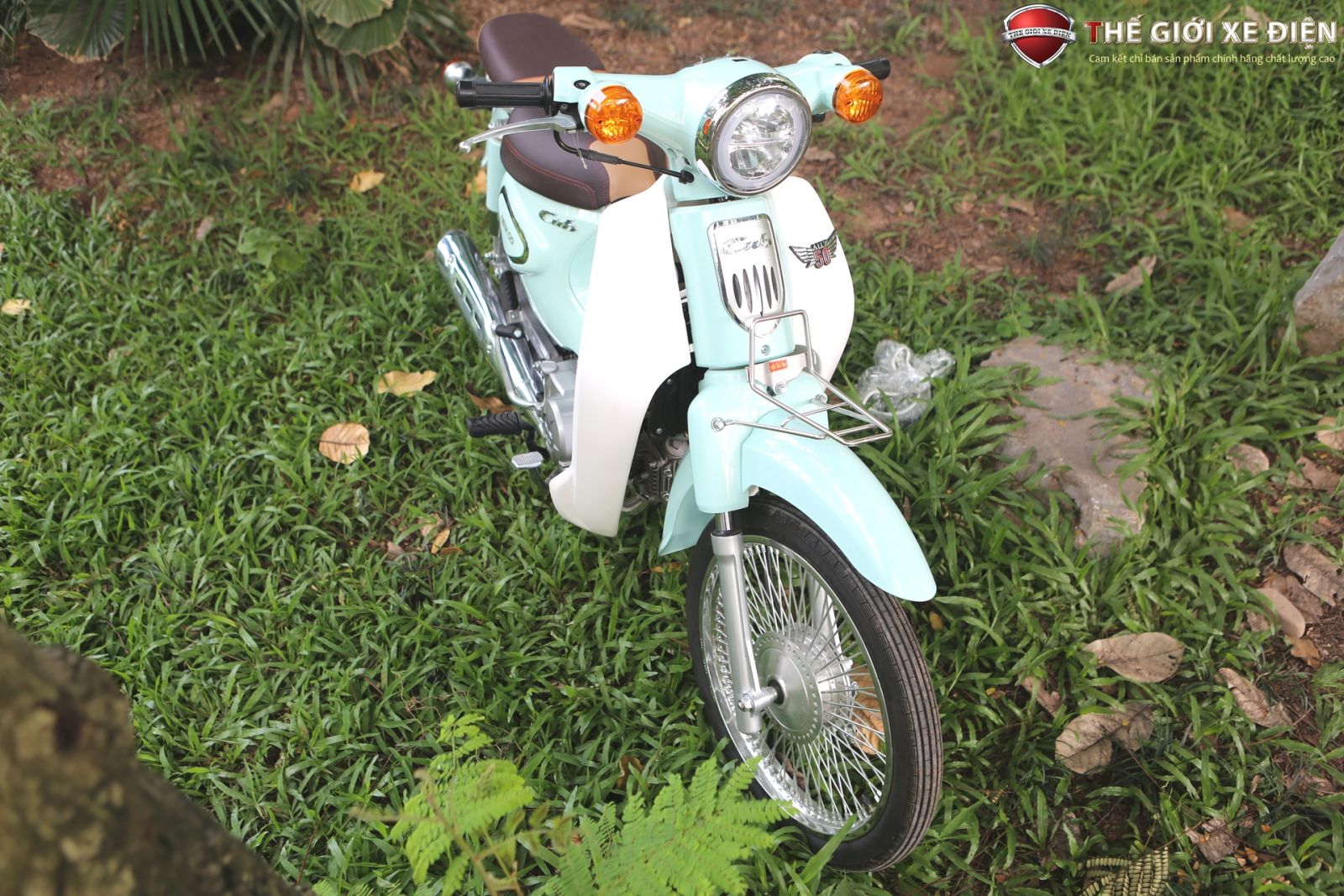 ảnh chi tiết xe số 50cc cub new ally