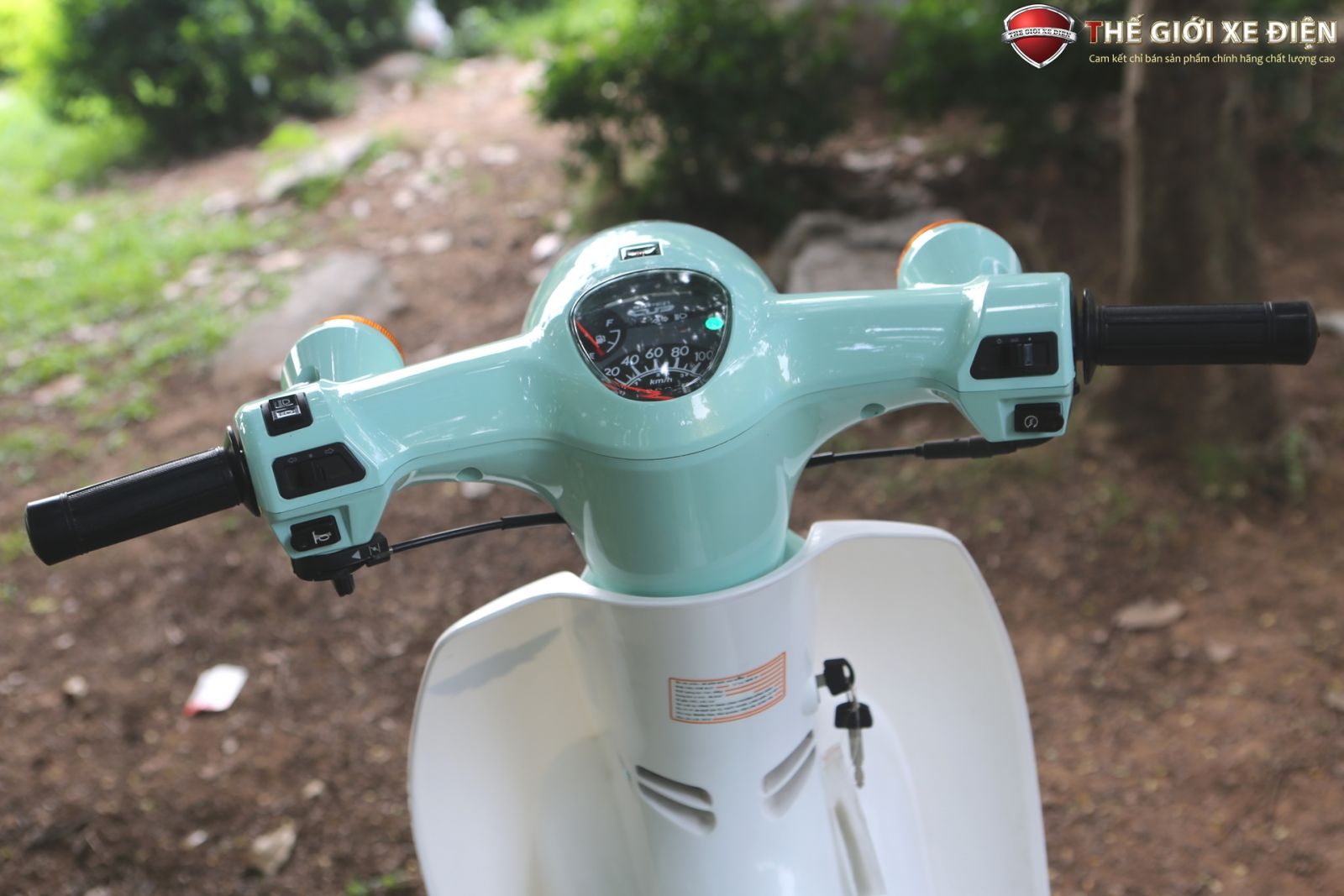 ảnh chi tiết xe số 50cc cub new ally