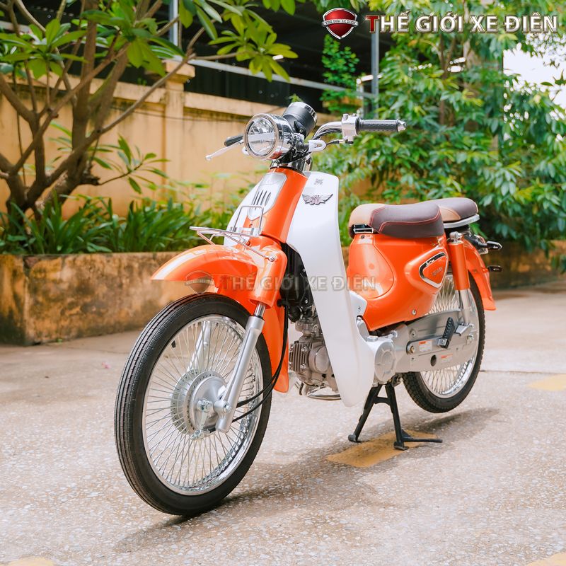 xe máy 50cc cub new ally 2020