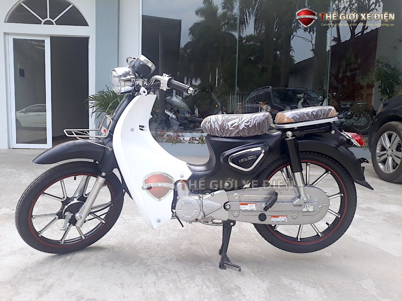 xe máy 50cc cub new ally 2020