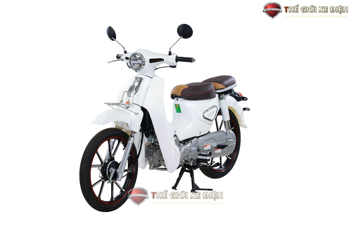 xe cub new 50se đúc