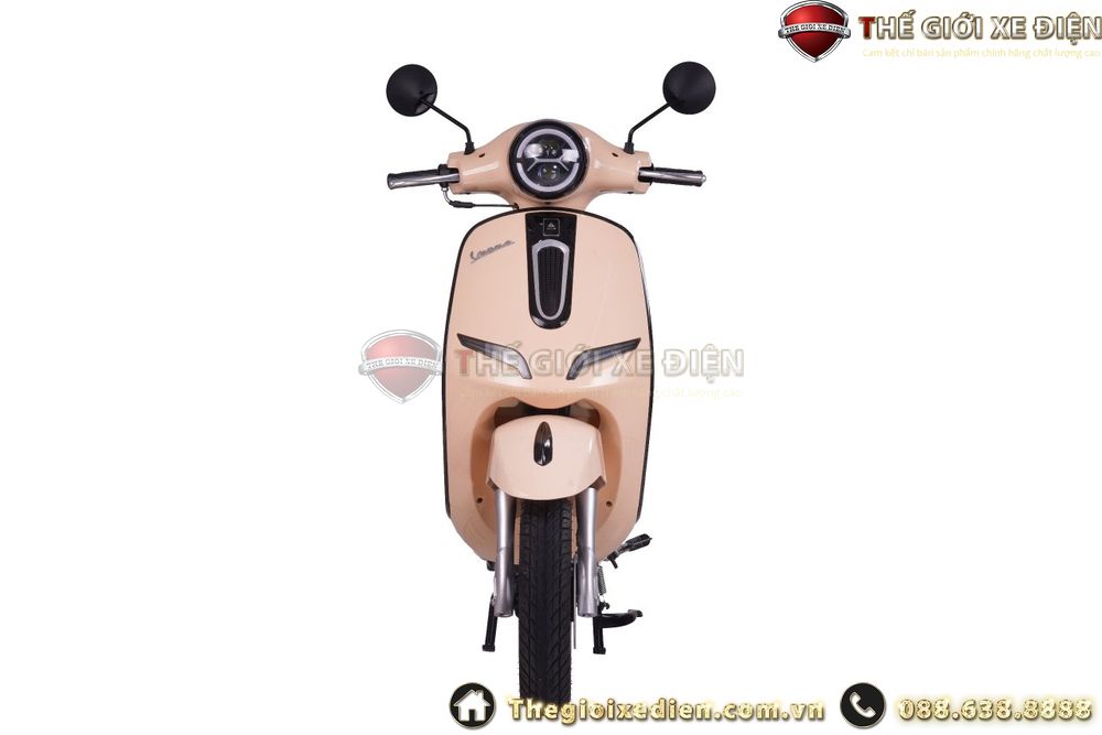 mặt nạ trước xe ga 50cc vegas ally