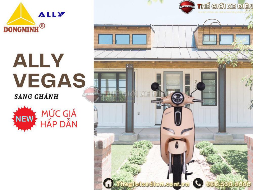 xe ga 50cc vegas ally