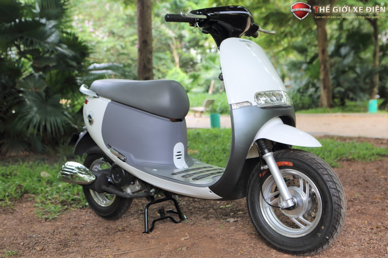 ảnh chi tiết xe ga 50cc gofast dibao