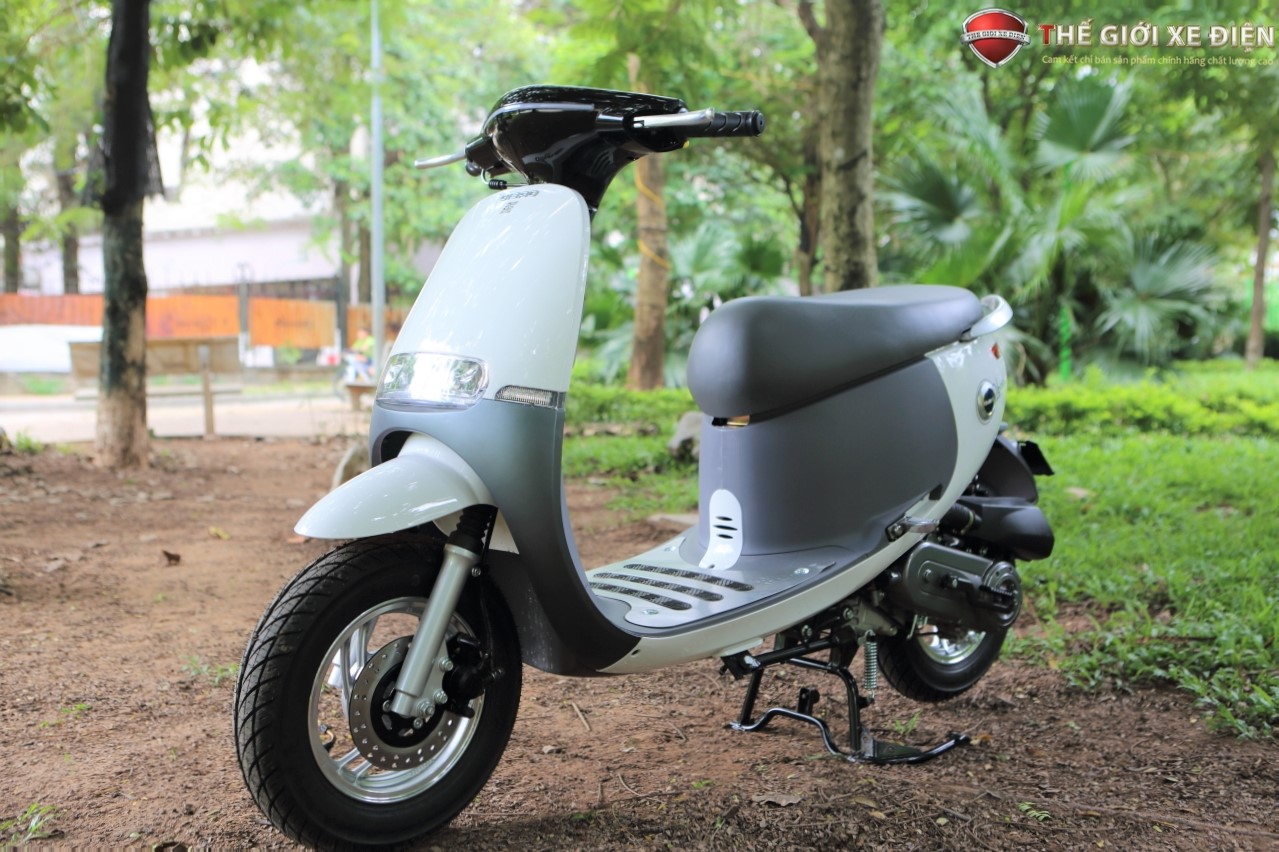 xe máy 50cc dibao gofast