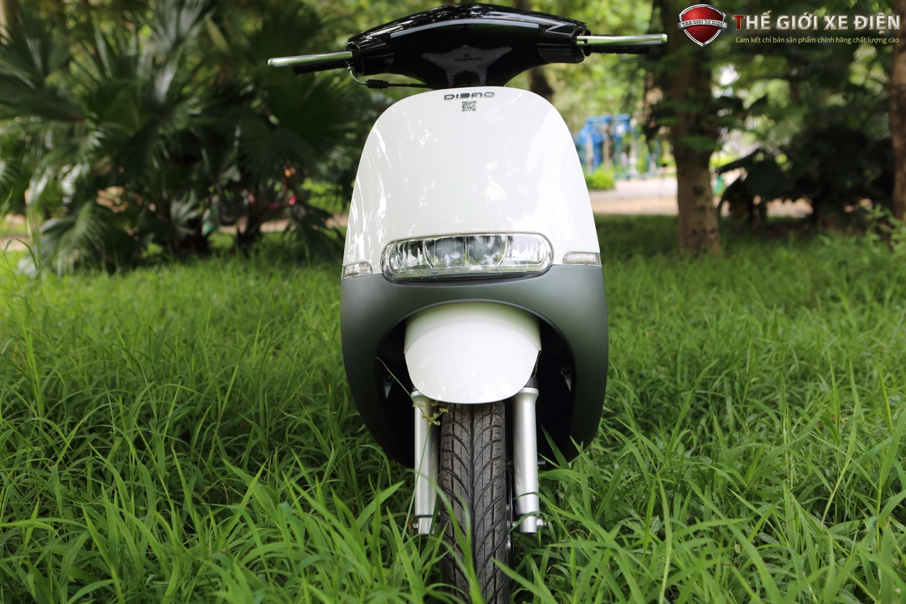 ảnh chi tiết xe ga 50cc gofast dibao