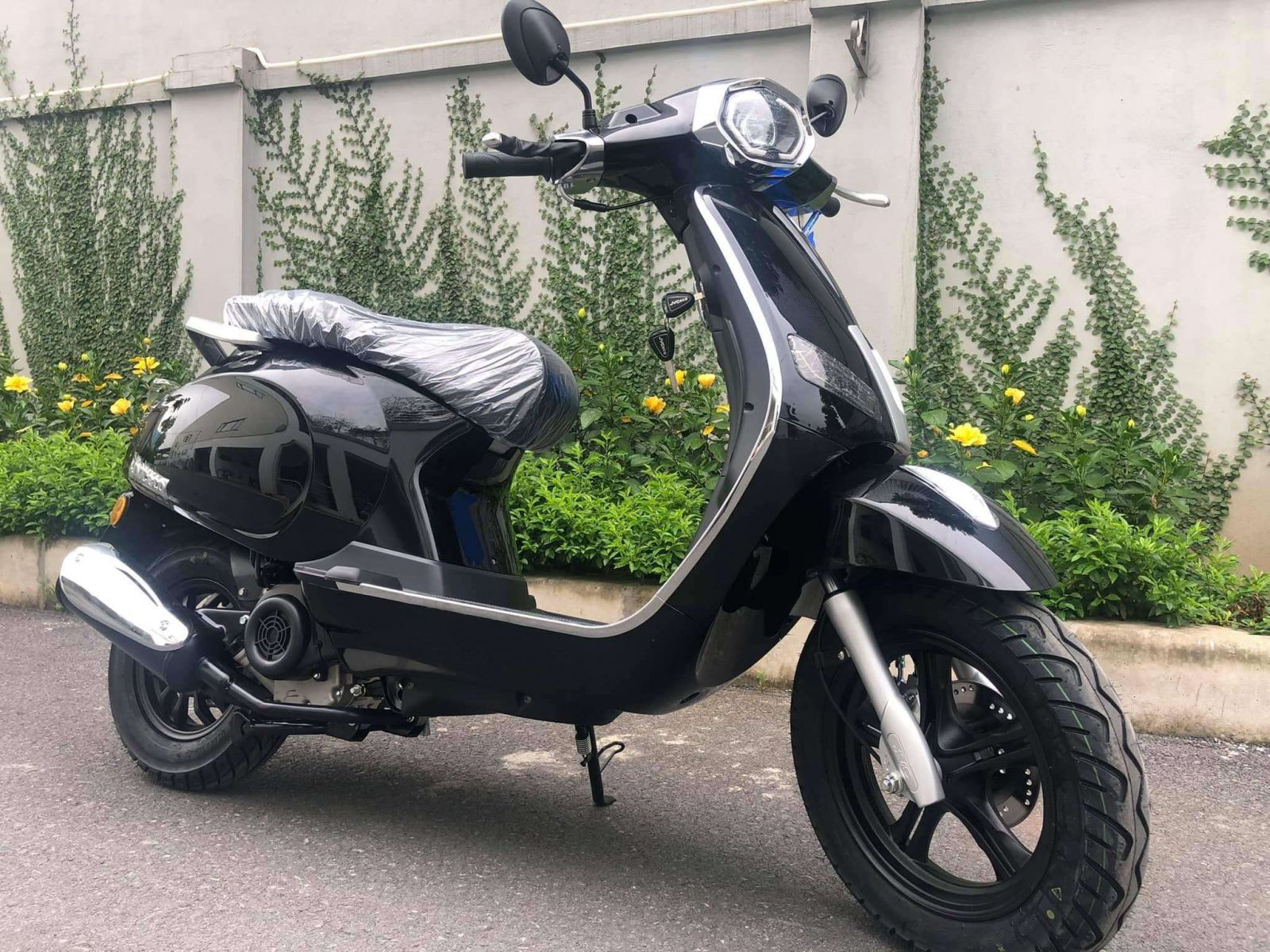 jvc vespa platinum 50cc