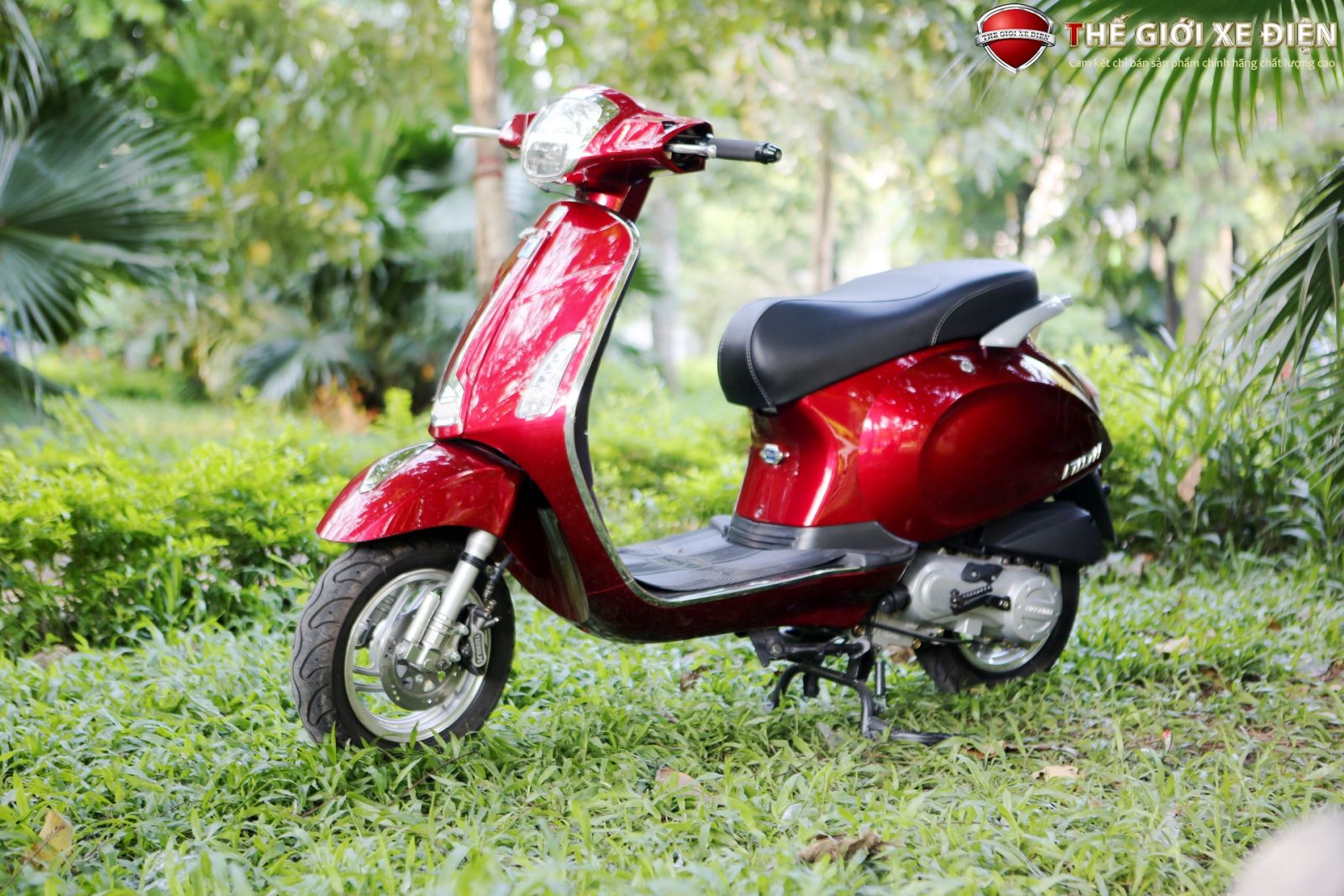 ảnh xe ga 50cc Nioshima