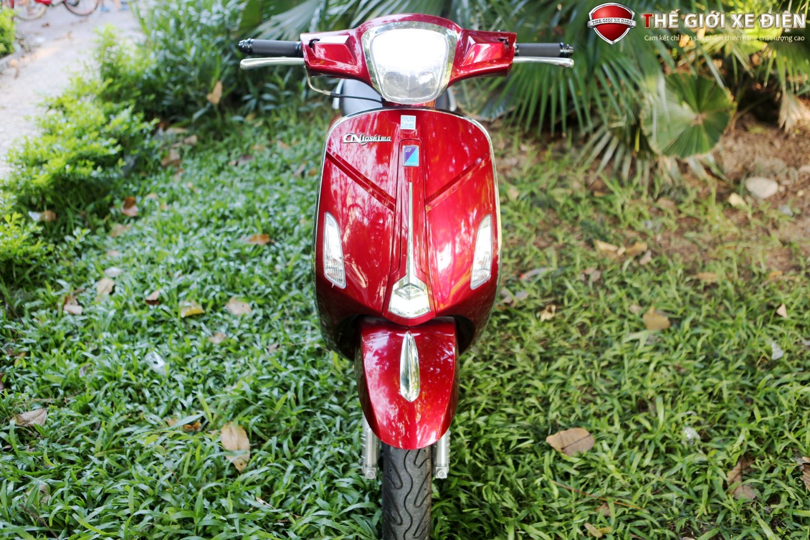 ảnh xe ga 50cc Nioshima