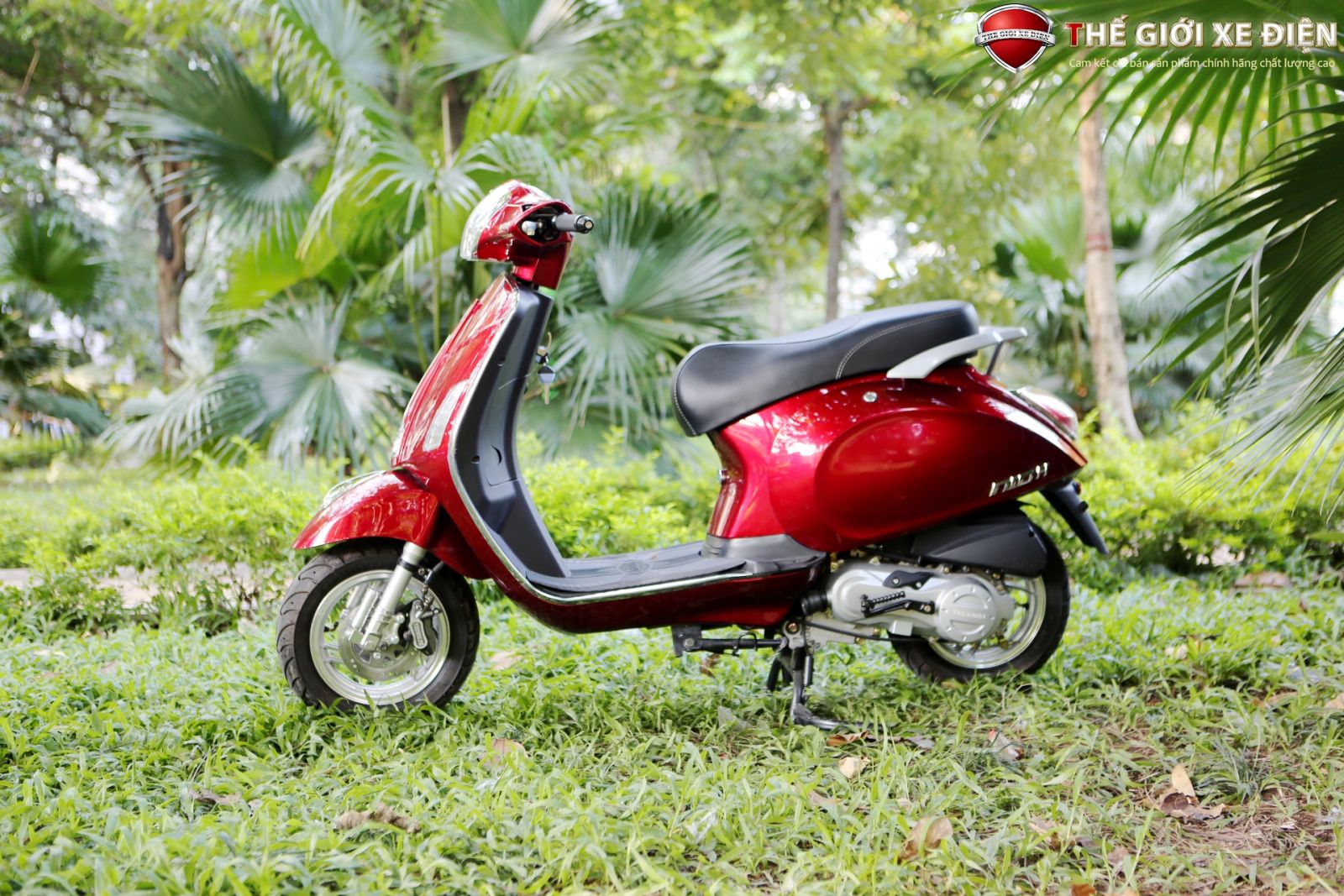 ảnh xe ga 50cc Nioshima