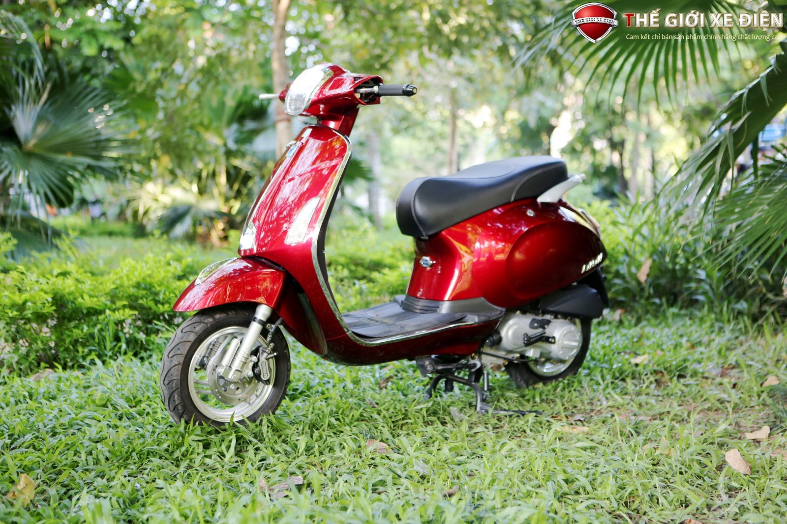 ảnh xe ga 50cc Nioshima